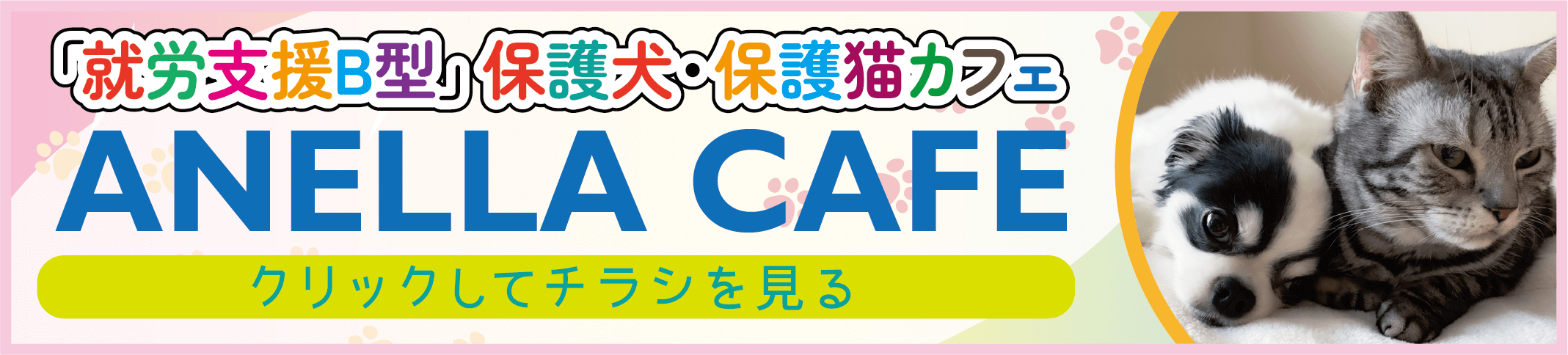 就労支援B型 保護犬・保護猫カフェ